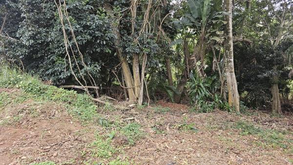 2 154 m² Land