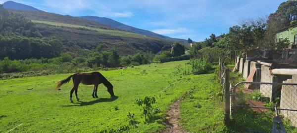 133.6 ha Farm