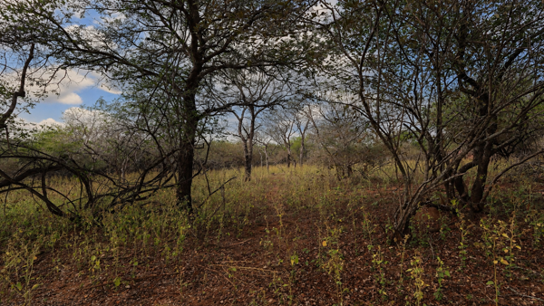 2 010 m² Land
