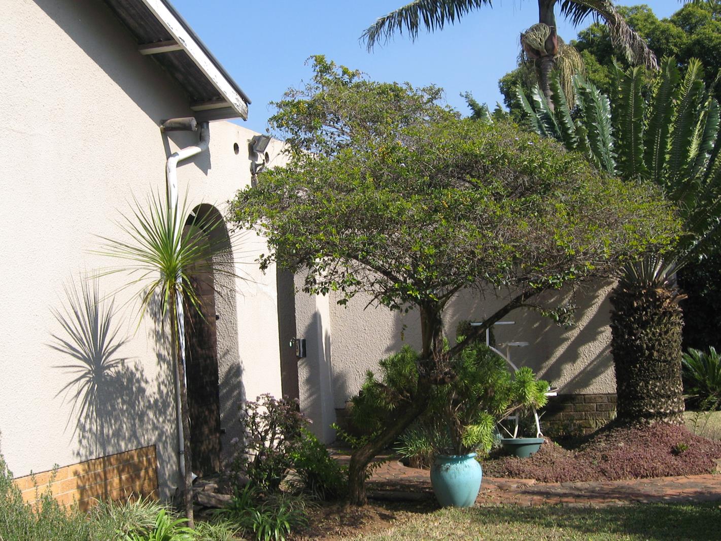 3 Bedroom House in Queenswood