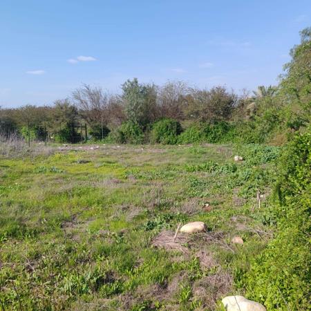 2 478 m² Land