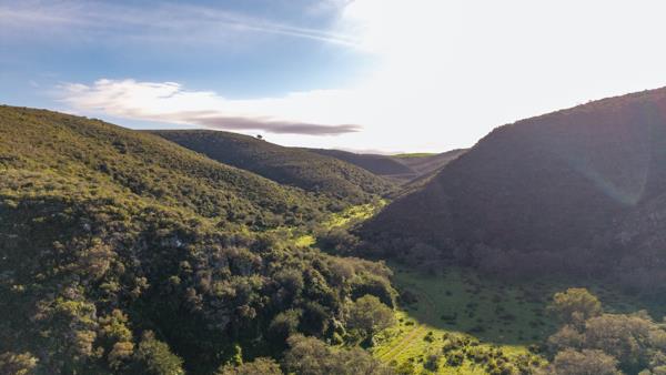 535 ha Commercial Farm