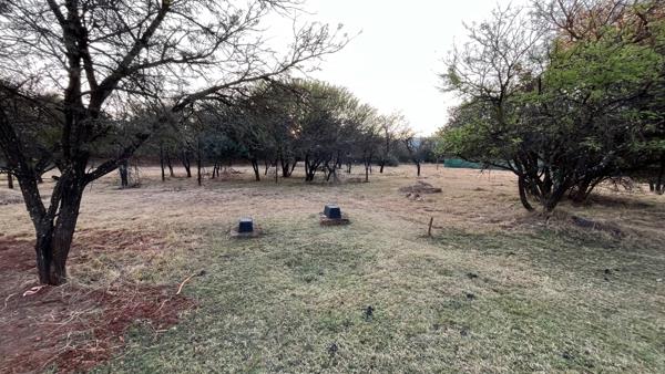 980 m² Land