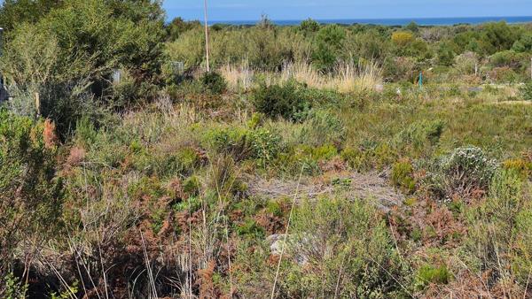 973 m² Land