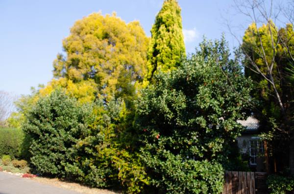 3 Bedroom Simplex