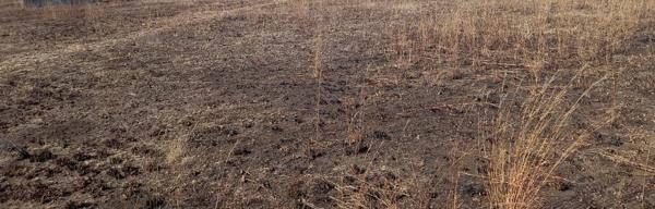 266 m² Land