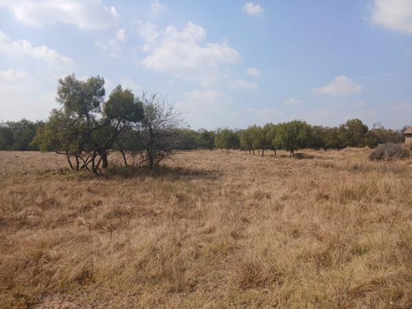 1 ha Land