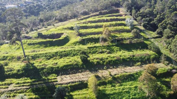 1.2 ha Land