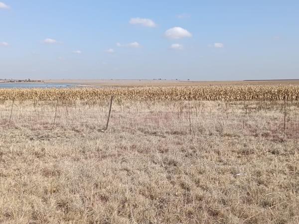 510 ha Farm