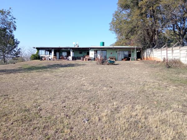 15.9 ha Smallholding