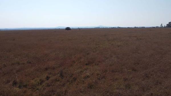 145.6 ha Farm