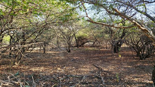 2 255 m² Land
