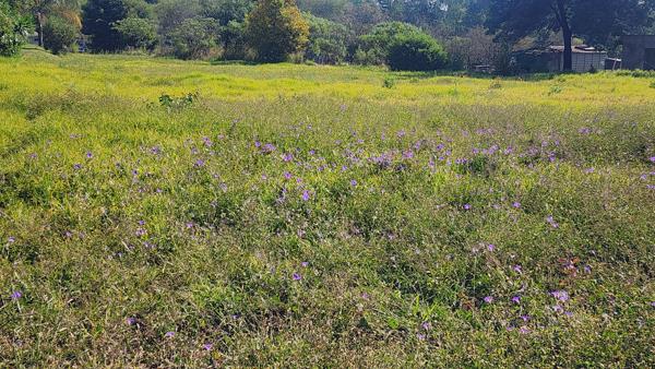 3 678 m² Land