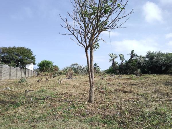 1 571 m² Land