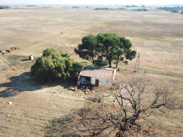 21.4 ha Smallholding