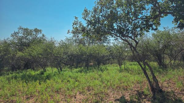 1 692 m² Land