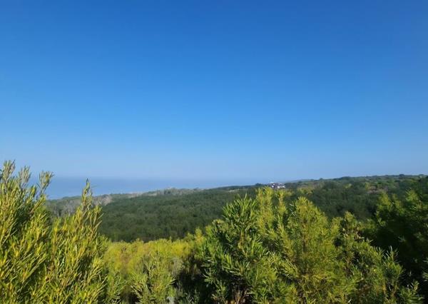 4 459 m² Land