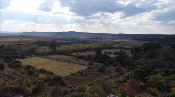 300 ha Farm