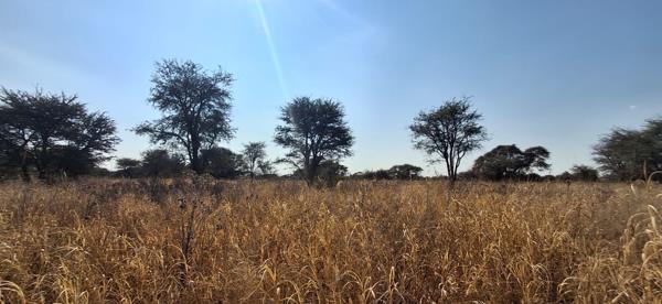 506 ha Farm