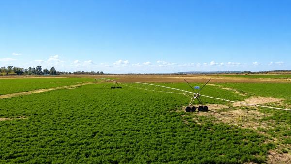 14 ha Land