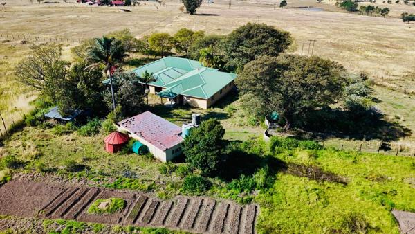 21 ha Smallholding