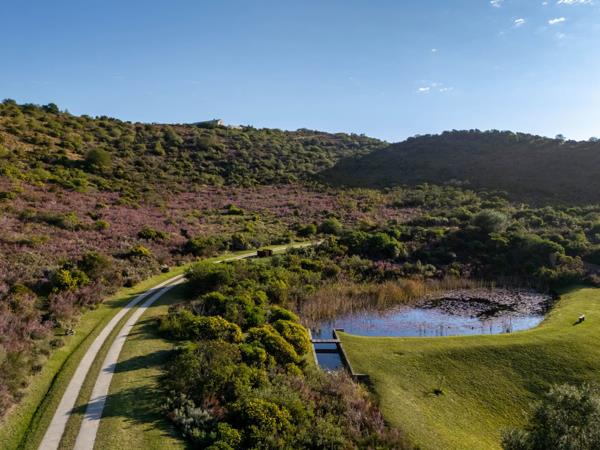 4 619 m² Land