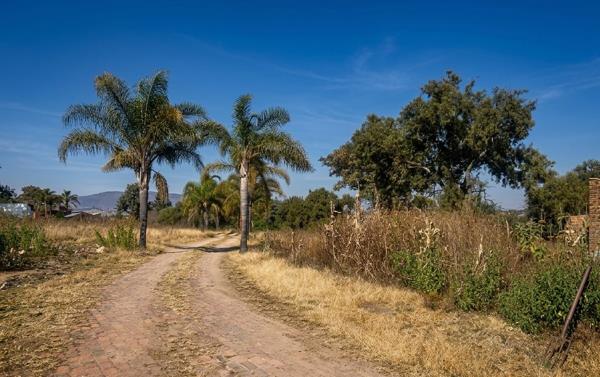 5.6 ha Land