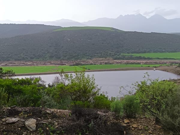 100 ha Farm