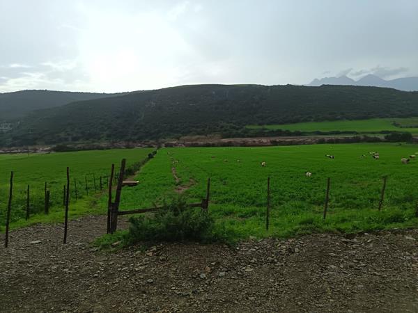 100 ha Farm