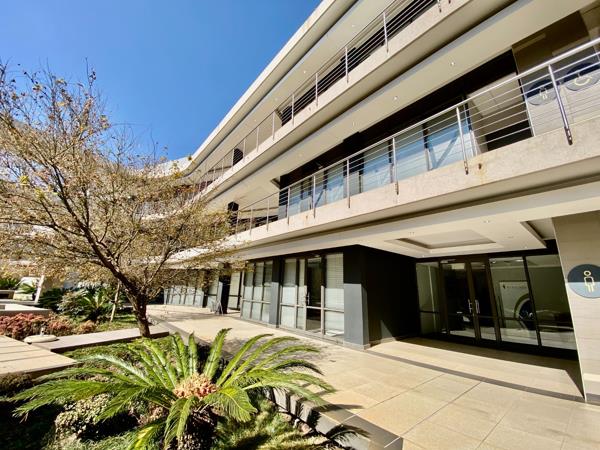 220 m² Office Space