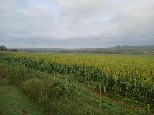 109.8 ha Farm