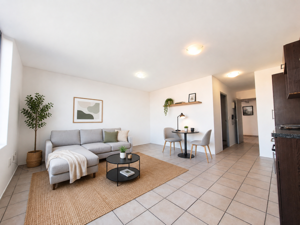 1 Bedroom Apartment
