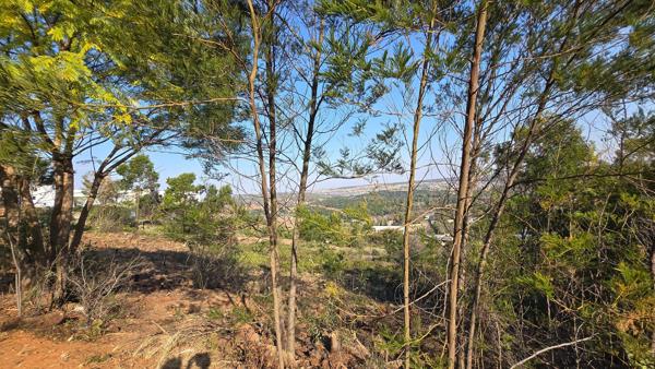 1 ha Land