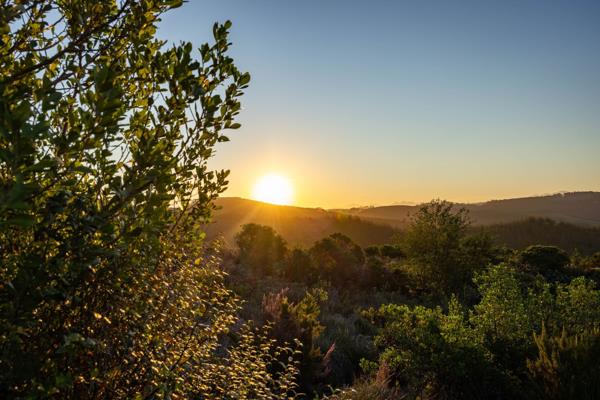 4 973 m² Land