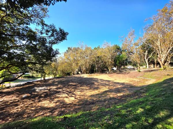 1 675 m² Land