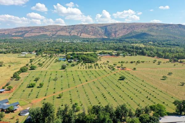 4.2 ha Farm