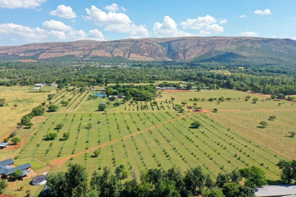 4.2 ha Farm
