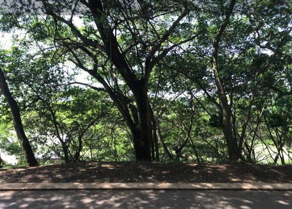 1 250 m² Land