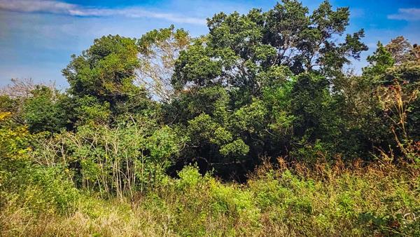 903 m² Land