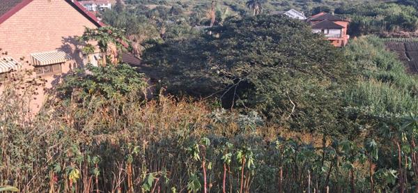 1 123 m² Land