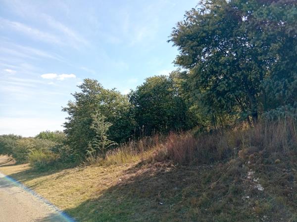 950 m² Land