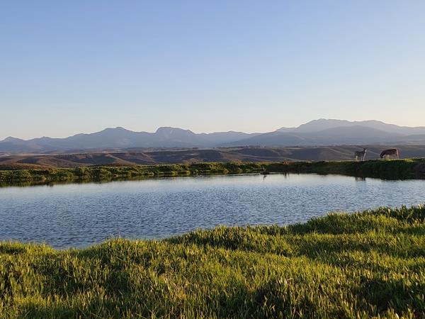 1 503 m² Land