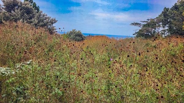 728 m² Land