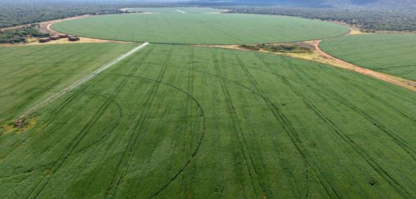 460 ha Farm
