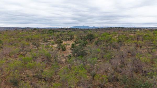 22.5 ha Land