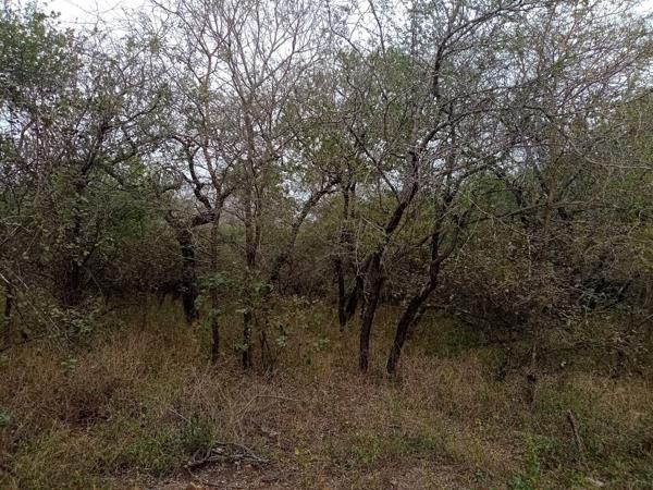 280 m² Land