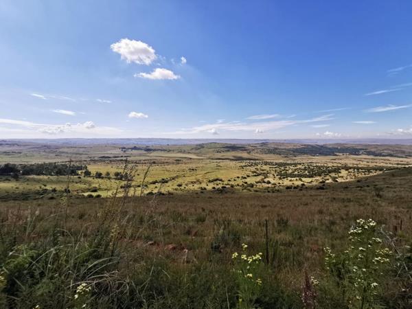 458 ha Agricultural Holding