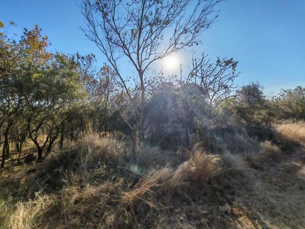 9 291 m² Land