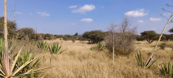 2.1 ha Land