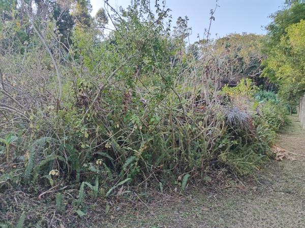 1 035 m² Land